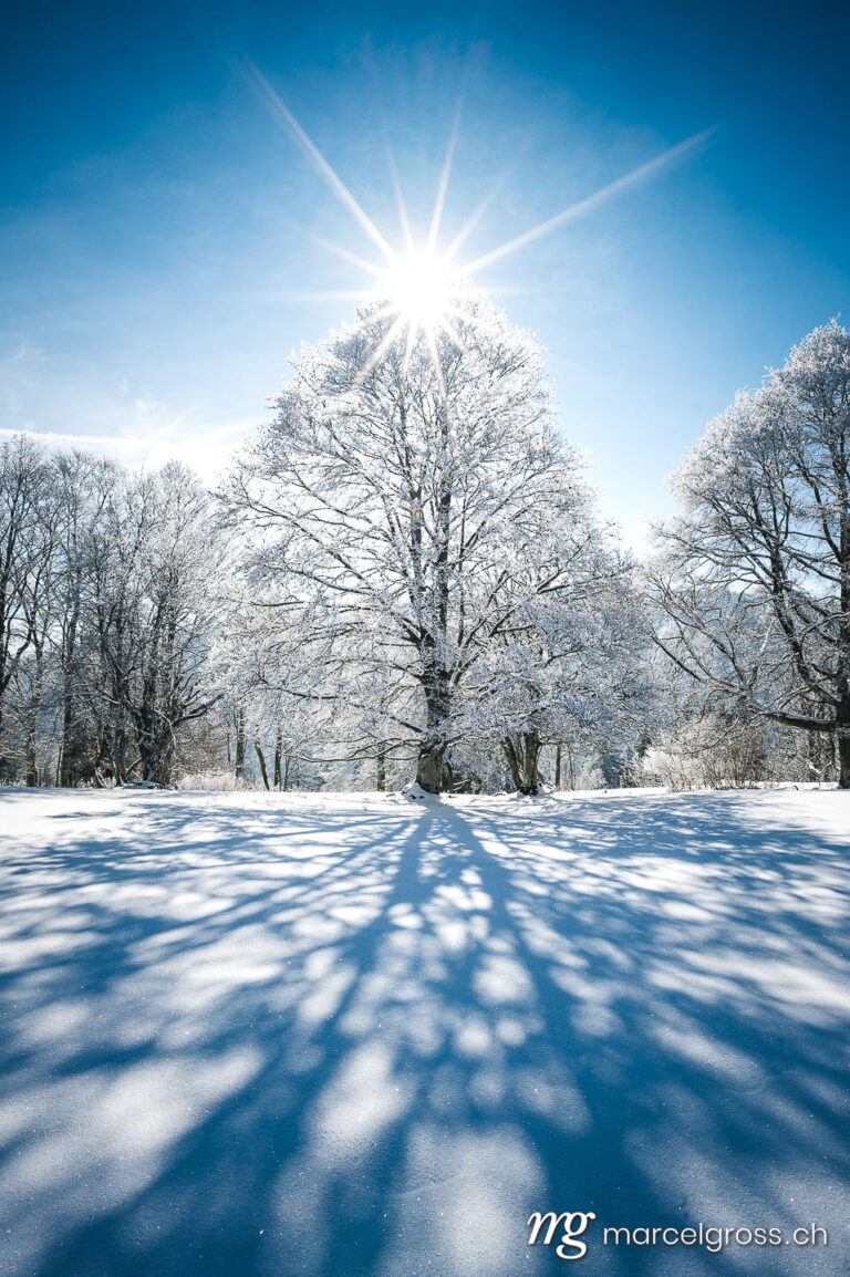 Winterbild Schweiz. dreamy winter landscape in Les Prés d'Orvin, Swiss Jura. Marcel Gross Photography