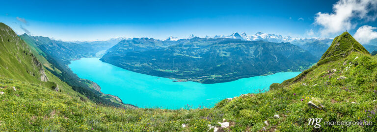 Panorama pictures Switzerland. panoramic view over the Lake Brienz with Brienz and Eiger, Mönch and Jungfrau. Marcel Gross Photography