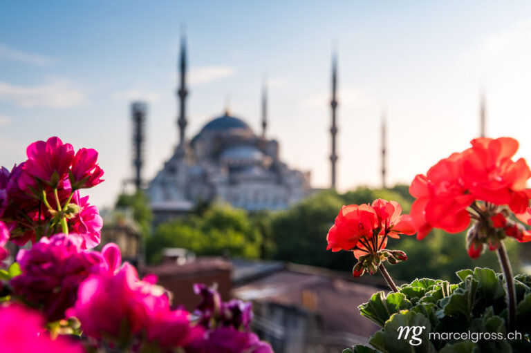 istanbul bilder. hagia sofia and flowers. Marcel Gross Photography