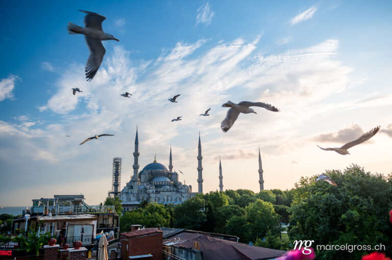 istanbul pictures. hagia sofia and seagulls. Marcel Gross Photography
