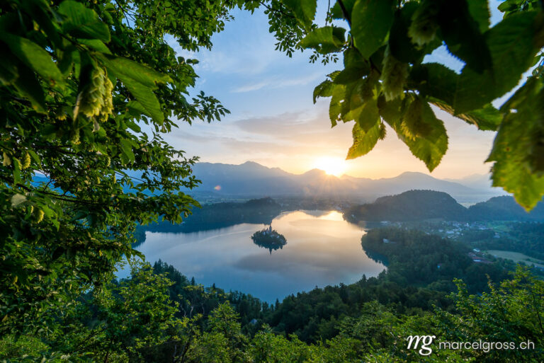 slowenien-bilder. Lake Bled with famous island with church. Marcel Gross Photography