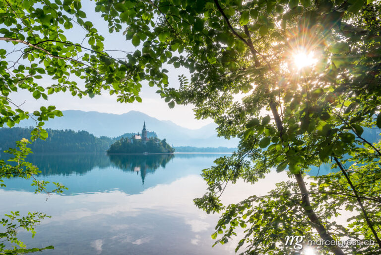 slovenia pictures. church and island in Lake Bled with natural frame of vegetation. Marcel Gross Photography