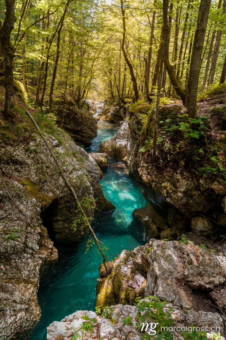 slowenien-bilder. view of Mostnica Gorge. Marcel Gross Photography