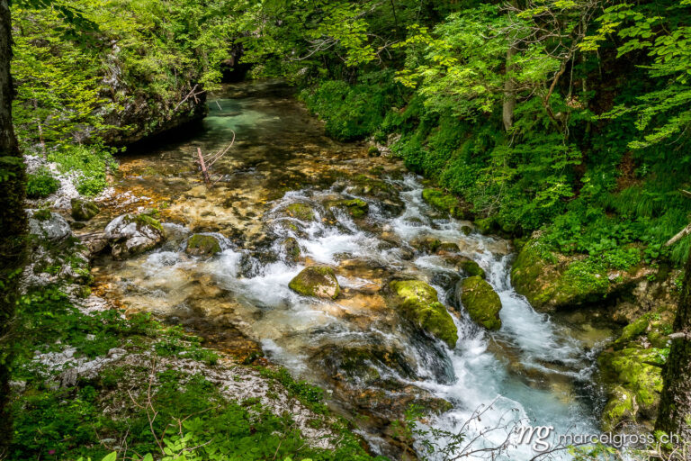 slowenien-bilder. River in Mostnica Gorge in Voje Valley. Marcel Gross Photography