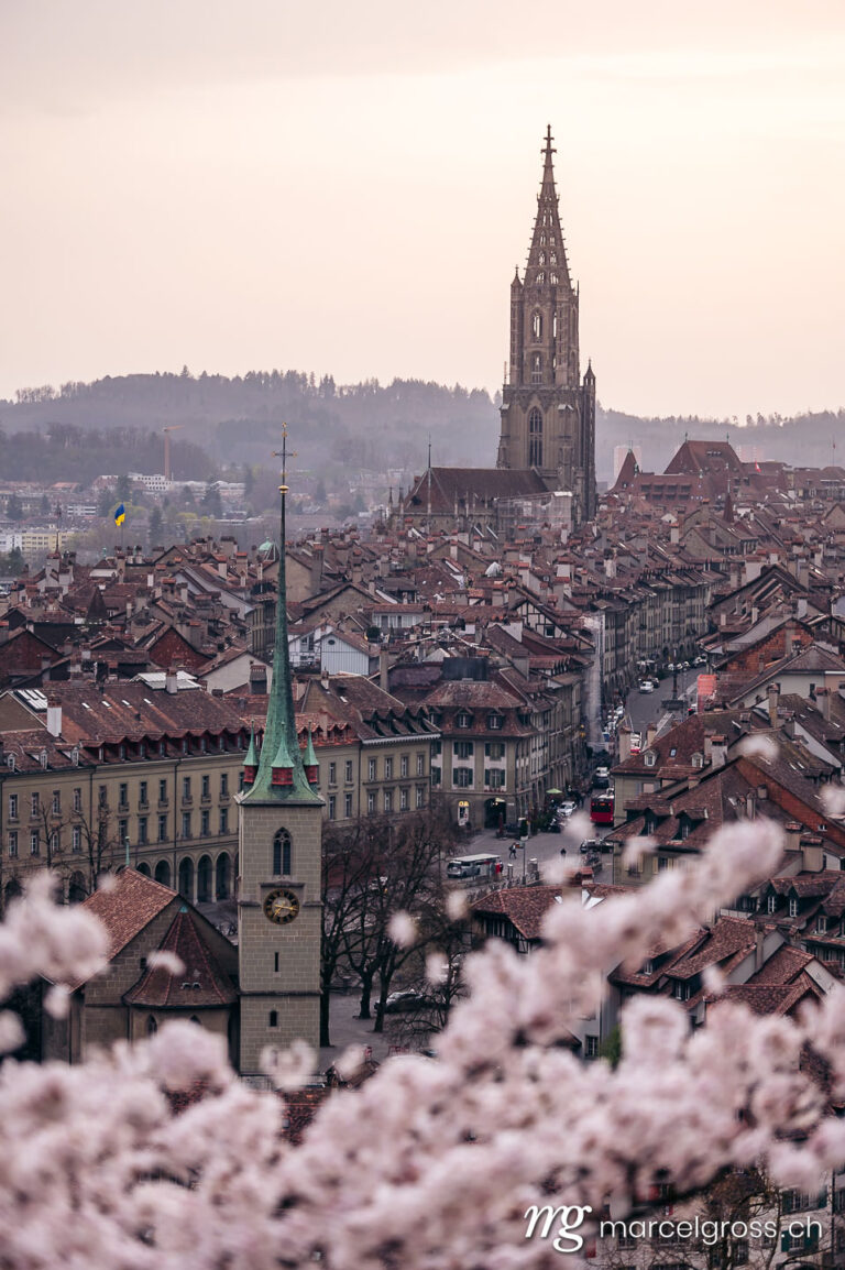 Bern Bilder. Sakura (cherry blossom) in Bern with Berner Münster. Marcel Gross Photography