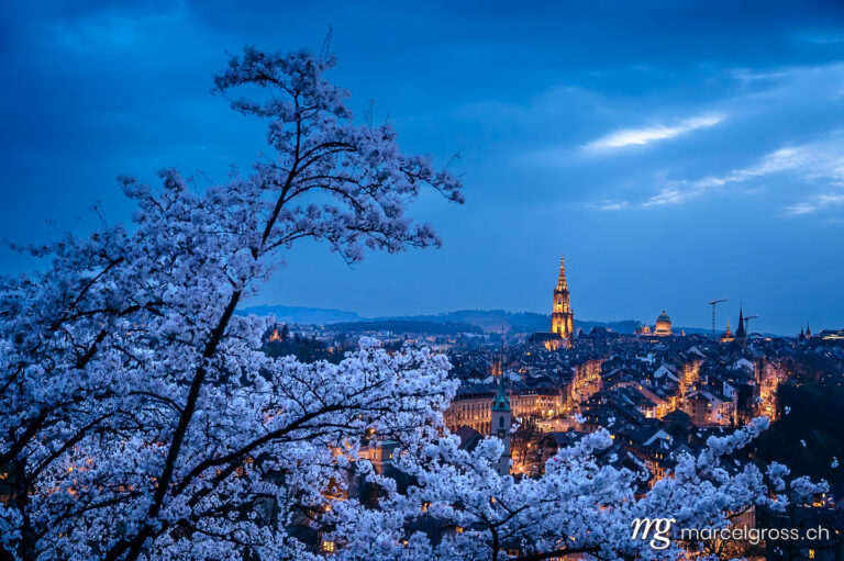 Bern Bilder. view from Rosengarten over the historic center of Bern during cherry blossom in spring. Marcel Gross Photography