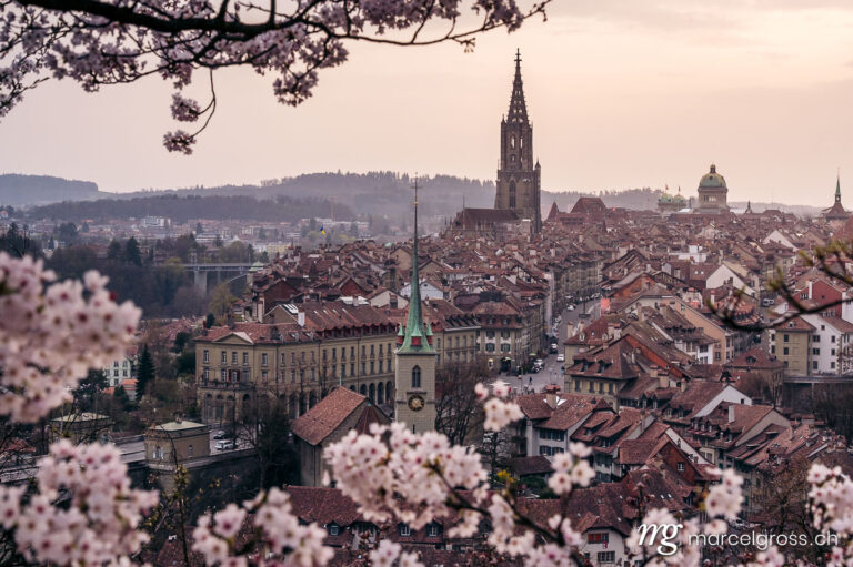 Bern Bilder. historic olttown of Bern during scenic cherry blossom in Rosengarten. Marcel Gross Photography