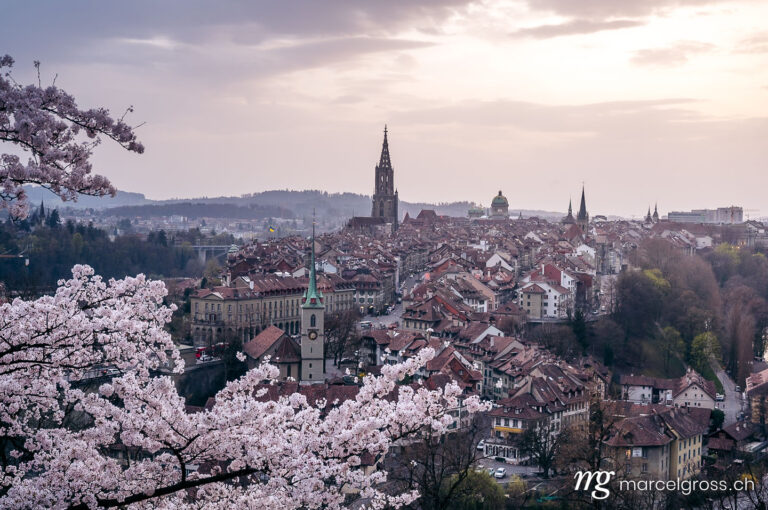 Bern Bilder. historic olttown of Bern during scenic cherry blossom in Rosengarten. Marcel Gross Photography