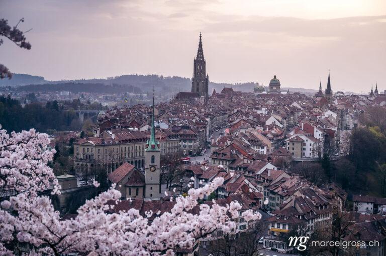 Bern pictures. historic old town of Bern during scenic cherry blossom in Rosengarten. Marcel Gross Photography