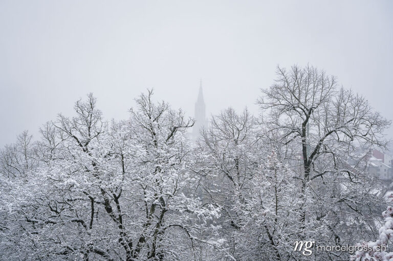 Bern Bilder. Bern in winter with snow covered trees and Berner Münster. Marcel Gross Photography