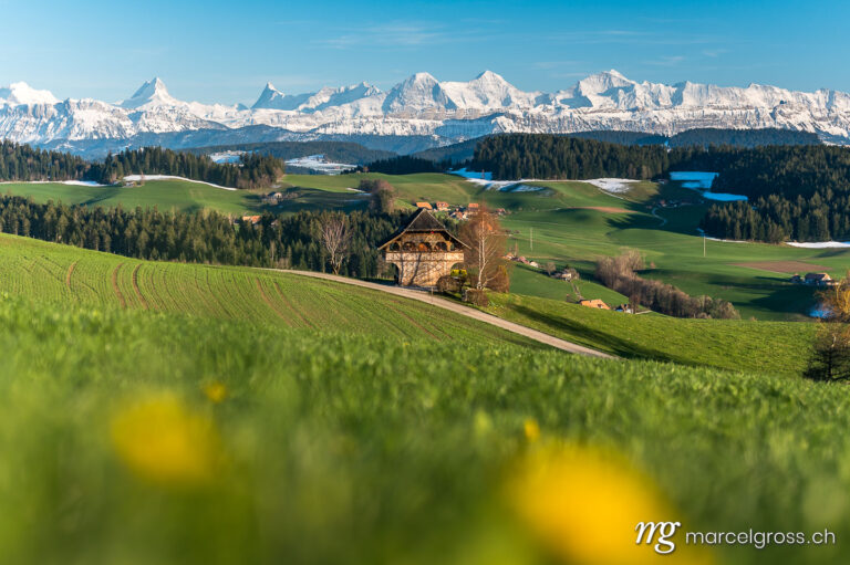 Emmental pictures. spring in Emmental with the mighty snowcovered Bernese Alps. Marcel Gross Photography