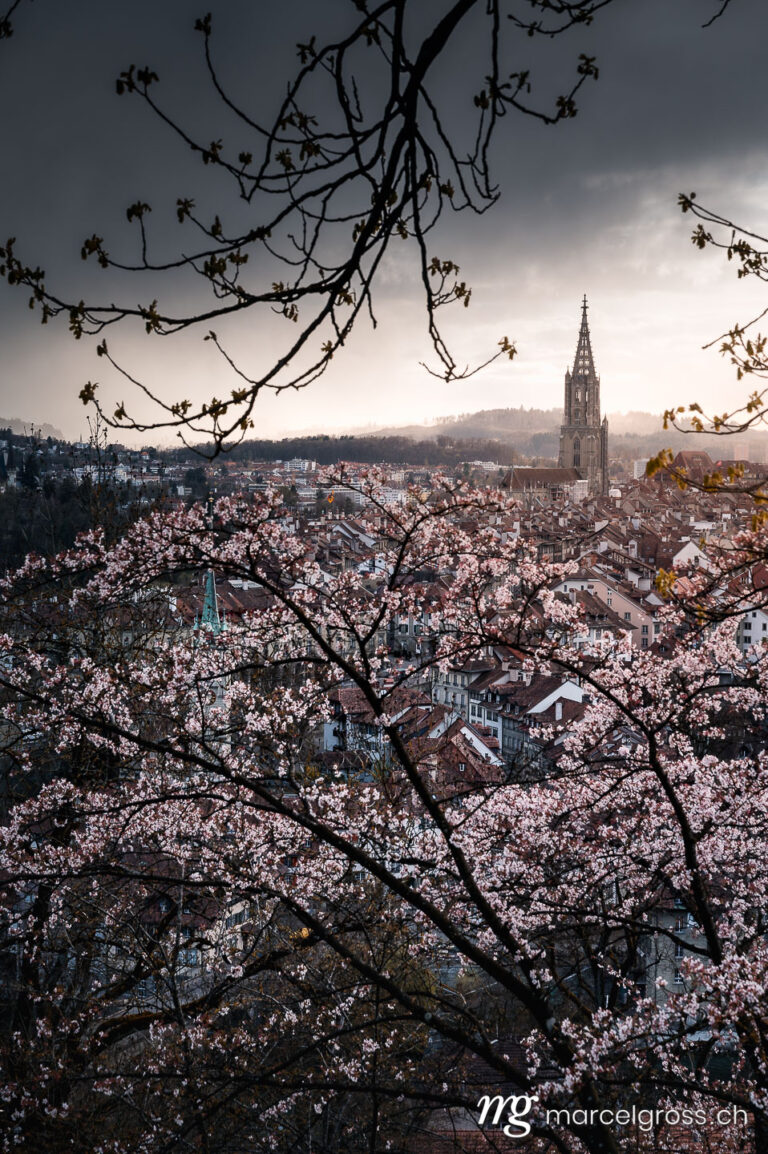 Frühlingsbilder Schweiz. dramatische Stimmung während der Kirschblüte über Berner Altstadt. Marcel Gross Photography