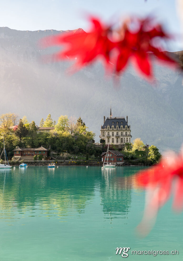 Spring pictures Switzerland. view of Schloss Seeburg, Iseltwald in turquoise Lake Brienz. Marcel Gross Photography