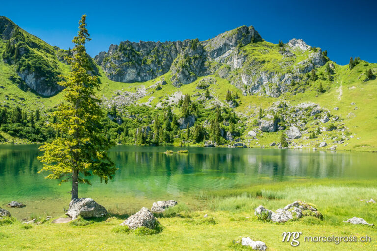 Summer picture Switzerland. Beautiful summer day at Seebergsee in Diemtig valley. Marcel Gross Photography