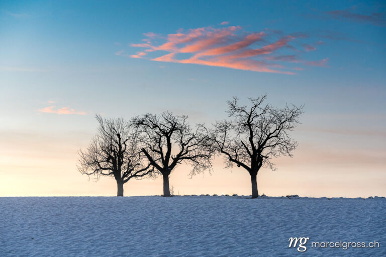 Winterbild Schweiz. Silhouetten dreier Bäume im Winter bei Sonnenuntergang. Marcel Gross Photography