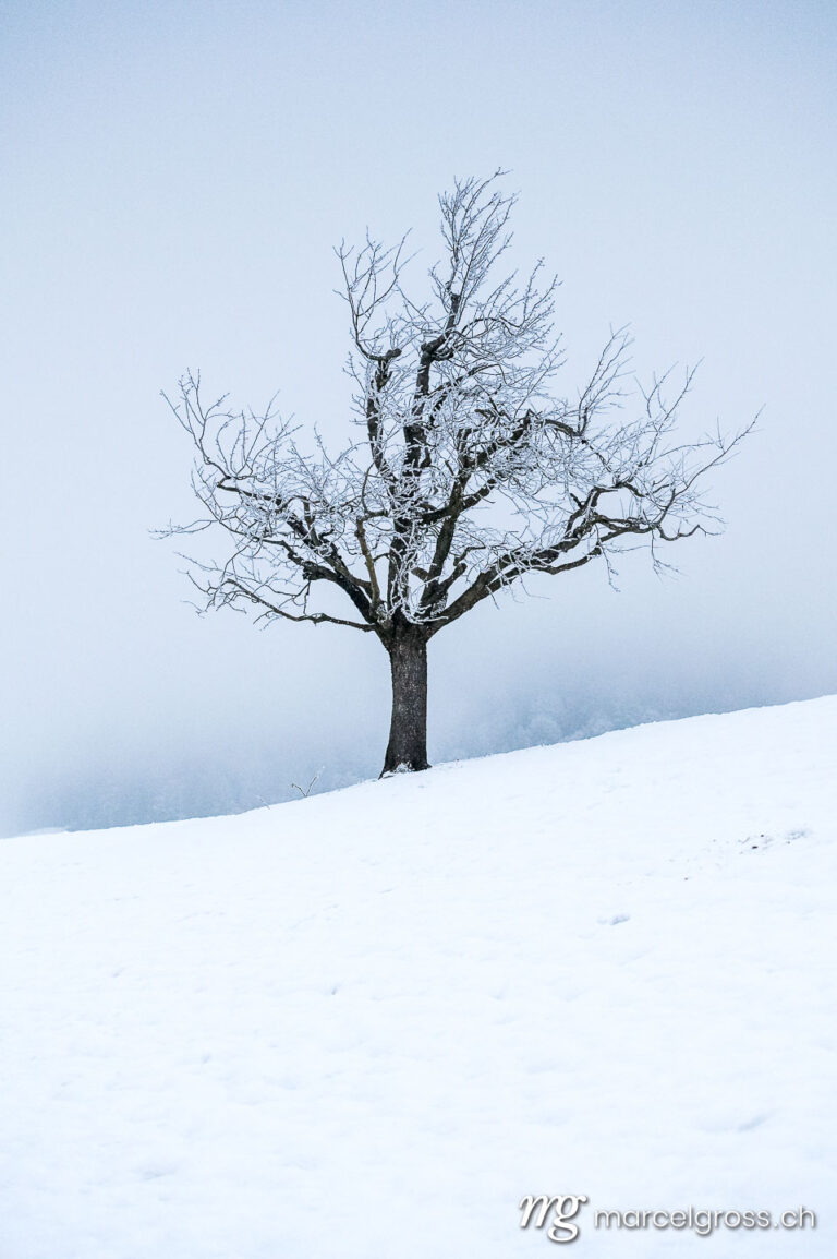 Winter picture Switzerland. . Marcel Gross Photography
