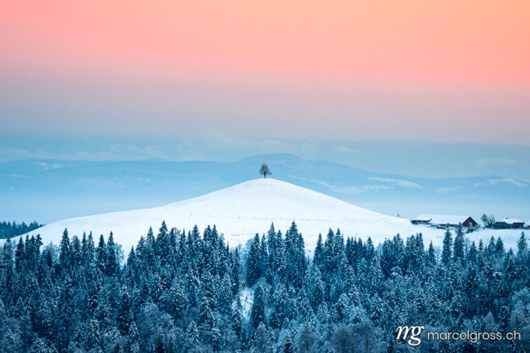 Winter picture Switzerland. beautiful winter sunrise in snowy Emmental with a single tree on a hill. Marcel Gross Photography