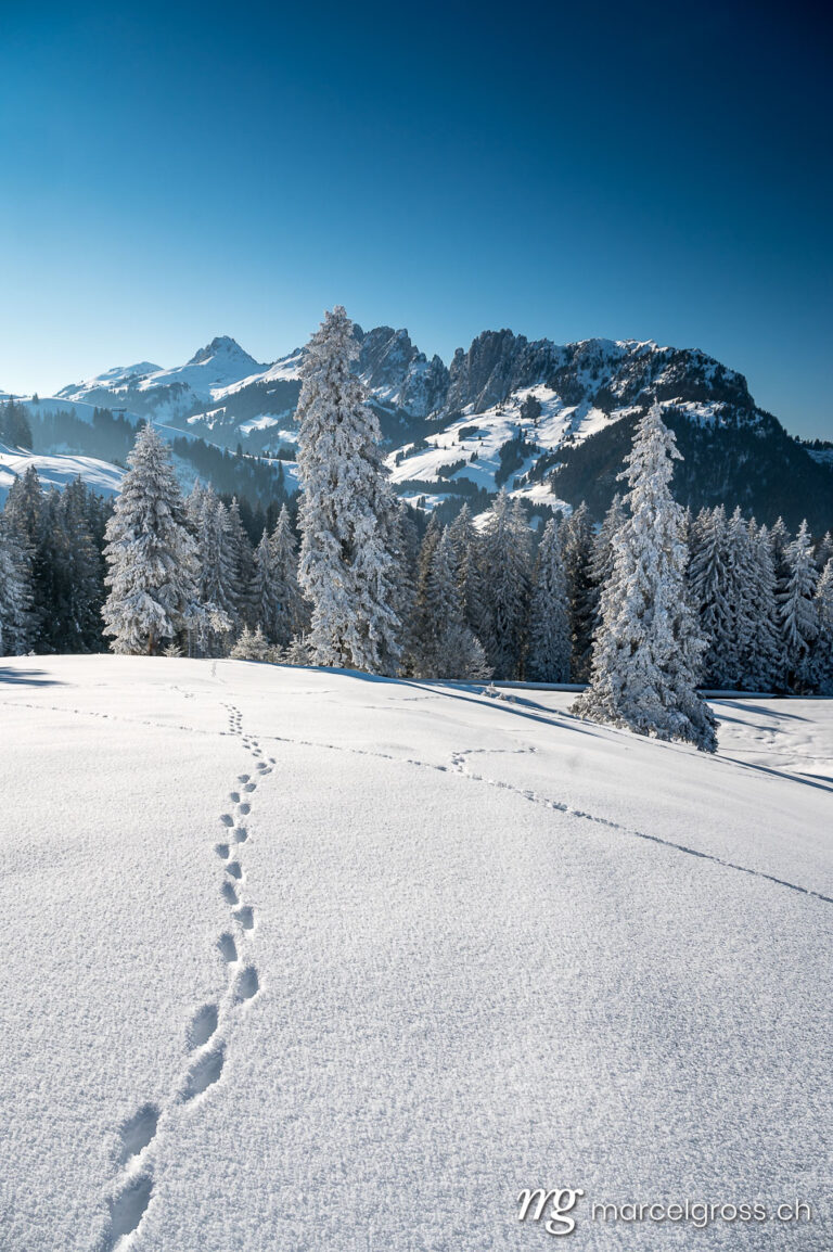 Winter picture Switzerland. Gastlosen in winter in the swiss alps. Marcel Gross Photography