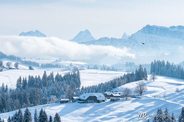 Winter picture Switzerland. View over the snowy hills of Emmental near Bumbach. Marcel Gross Photography