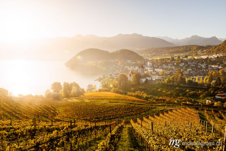 Autumn in Spiez. bay of Spiez with castle on a beautiful autumn morning in the Bernese Oberland. Marcel Gross Photography