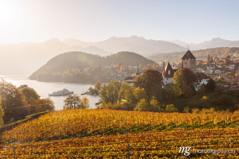 Herbst in Spiez. Spiez with Schloss Spiez, Thunersee a paddle steam boat on a sunny autumn morning. Marcel Gross Photography