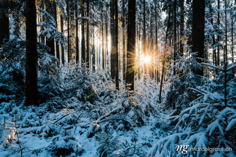. winter sun shining into deep frozen forest in Emmental. Marcel Gross Photography