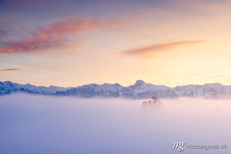 Winter picture Switzerland. misty sunset with Stockhorn ridge in the distance. Marcel Gross Photography