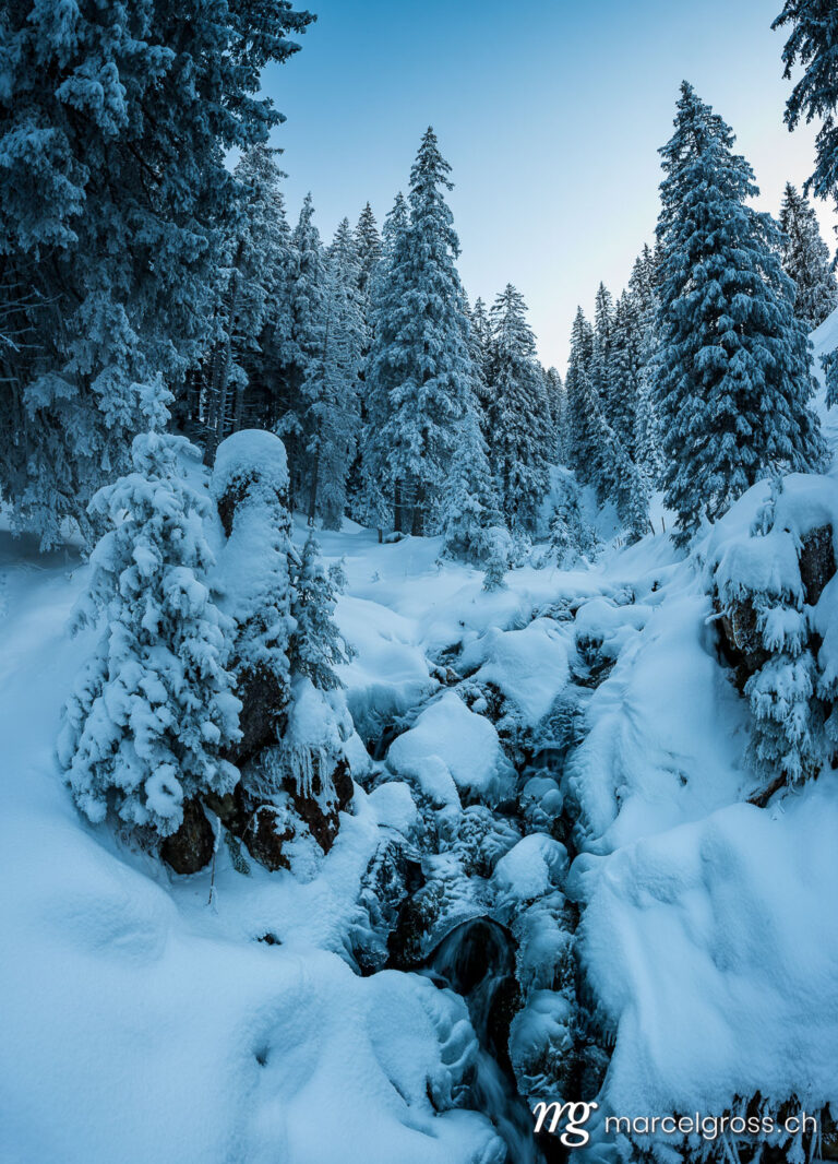 Winter picture Switzerland. frozen winter forest with creek in Gantrisch Nature Park. Marcel Gross Photography