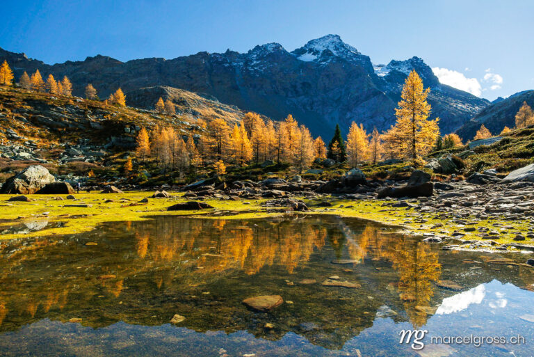 Herbstbilder Schweiz. Goldene Lärchen im Wallis. Marcel Gross Photography