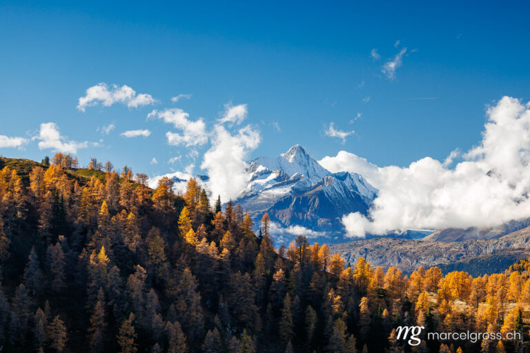 Wallis pictures. Golden larches in Valais. Marcel Gross Photography