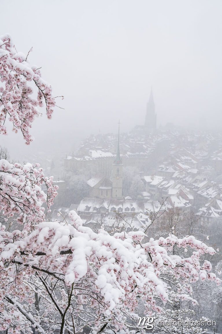. oldtown of Bern in misty snow during cherry blossom. Marcel Gross Photography