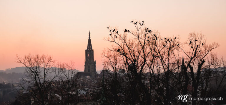 Stadt Bern Bilder. Berner Münster beim Sonnenuntergang. Marcel Gross Photography