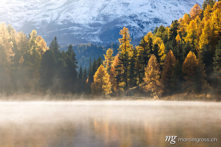 Herbstbild Schweiz. autumn mood a Lake Sils. Marcel Gross Photography