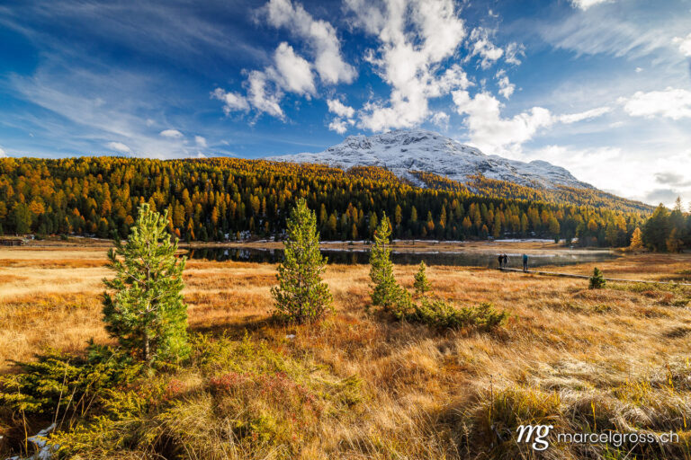 Graubünden Bilder. autumn mood at Lake Lej da Staz in Engadin. Marcel Gross Photography