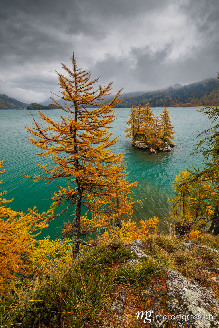 Graubünden Bilder. autumn mood a Lake Sils. Marcel Gross Photography