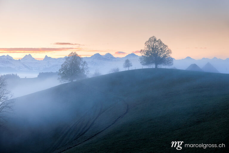 Emmental pictures. . Marcel Gross Photography