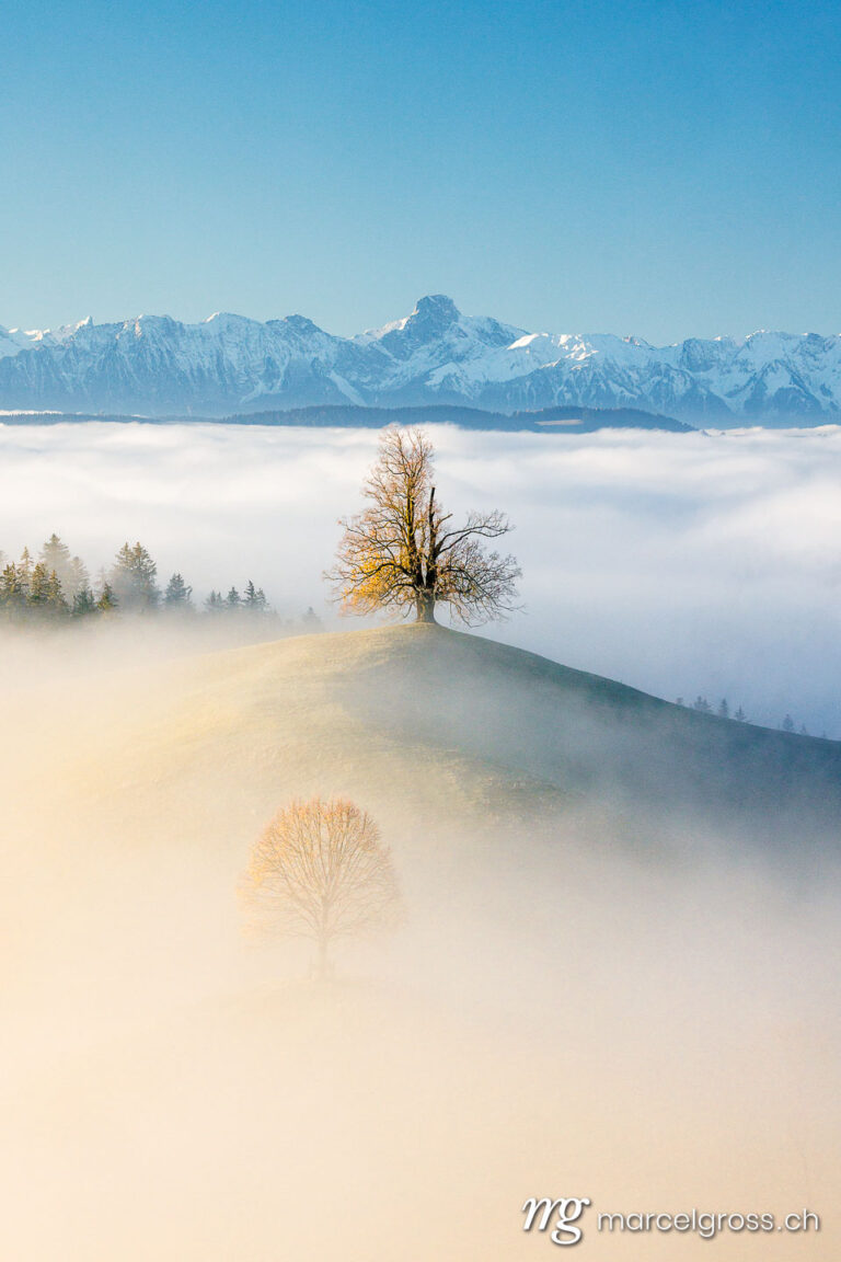 Autumn picture Switzerland. Wafts of fog in autumn in the Emmental. Marcel Gross Photography