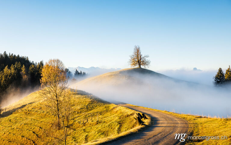 Herbstbild Schweiz. Nebelschwaden im Herbst im Emmental. Marcel Gross Photography