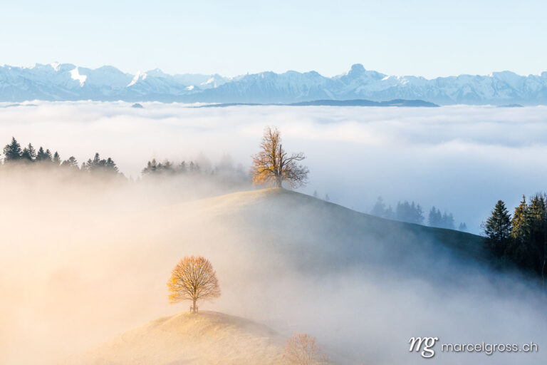 Herbstbild Schweiz. Nebelschwaden im Herbst im Emmental. Marcel Gross Photography