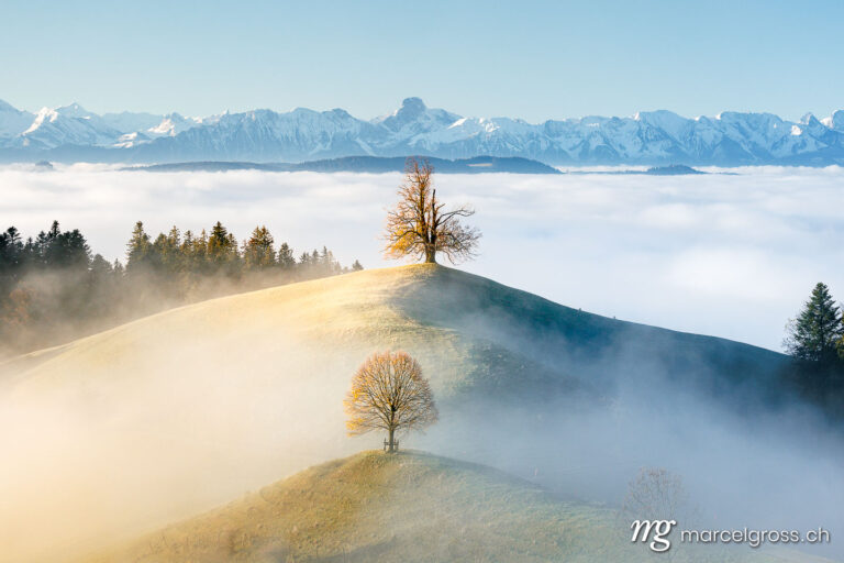 Herbstbild Schweiz. Emmentaler Hügel mi Bäumen und Berner Alpen. Marcel Gross Photography