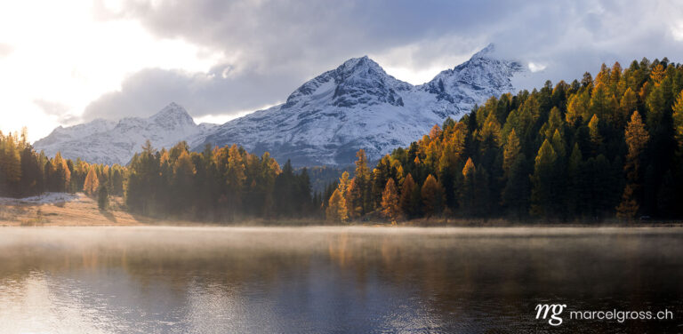 Autumn picture Switzerland. autumn mood at Lake Sils. Marcel Gross Photography