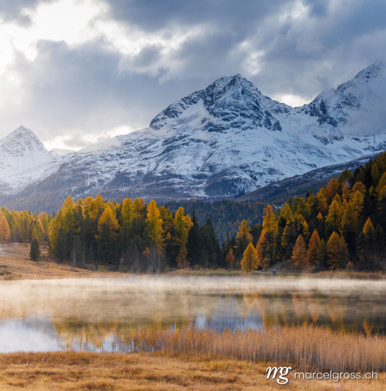 Autumn picture Switzerland. autumn mood at Lake Sils. Marcel Gross Photography