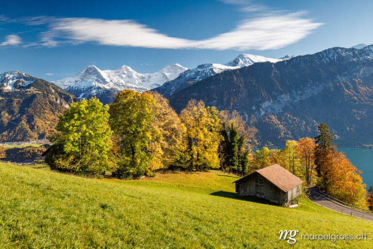 Autumn picture Switzerland. Autumn in Interlaken. Marcel Gross Photography