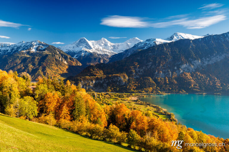 Herbstbild Schweiz. Herbst in Interlaken. Marcel Gross Photography