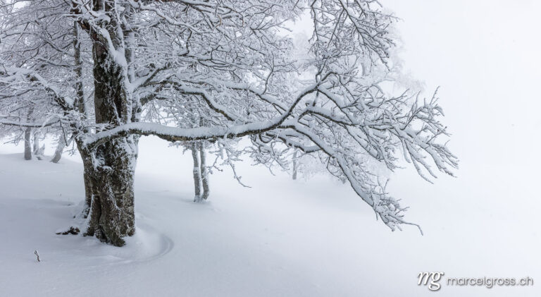 Winterbild Schweiz. . Marcel Gross Photography