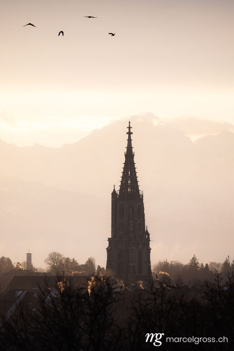 Bern Bilder. Berner Münster im Morgenlicht mit Jungfrau im Hintergrund. Marcel Gross Photography