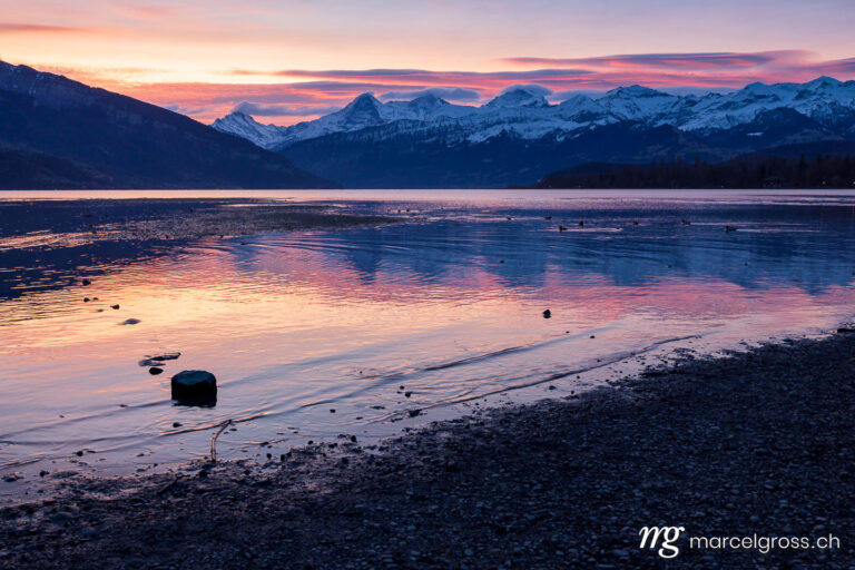 Bernese Oberland pictures. Sunrise on Lake Thun with Eiger Mönch and Jungfrau. Marcel Gross Photography