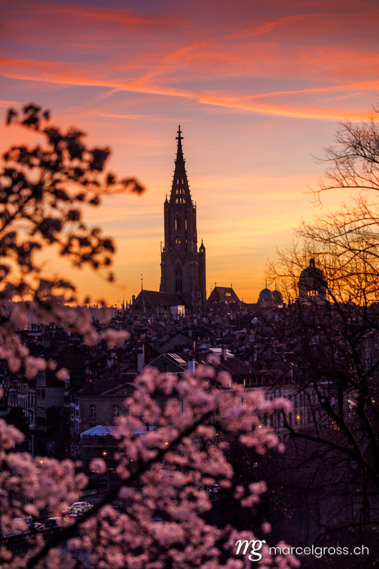 . Sunset during cherry blossom in Bern. Marcel Gross Photography