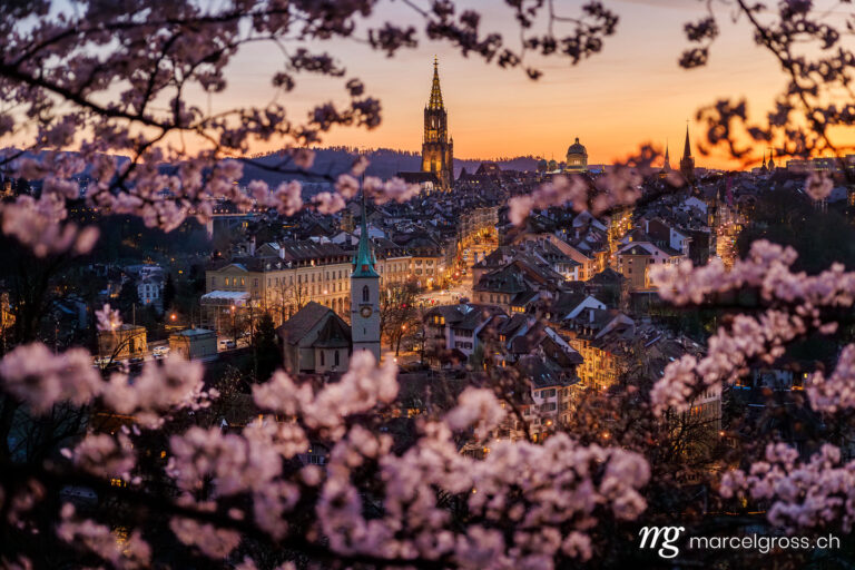 . Sunset during cherry blossom in Bern. Marcel Gross Photography