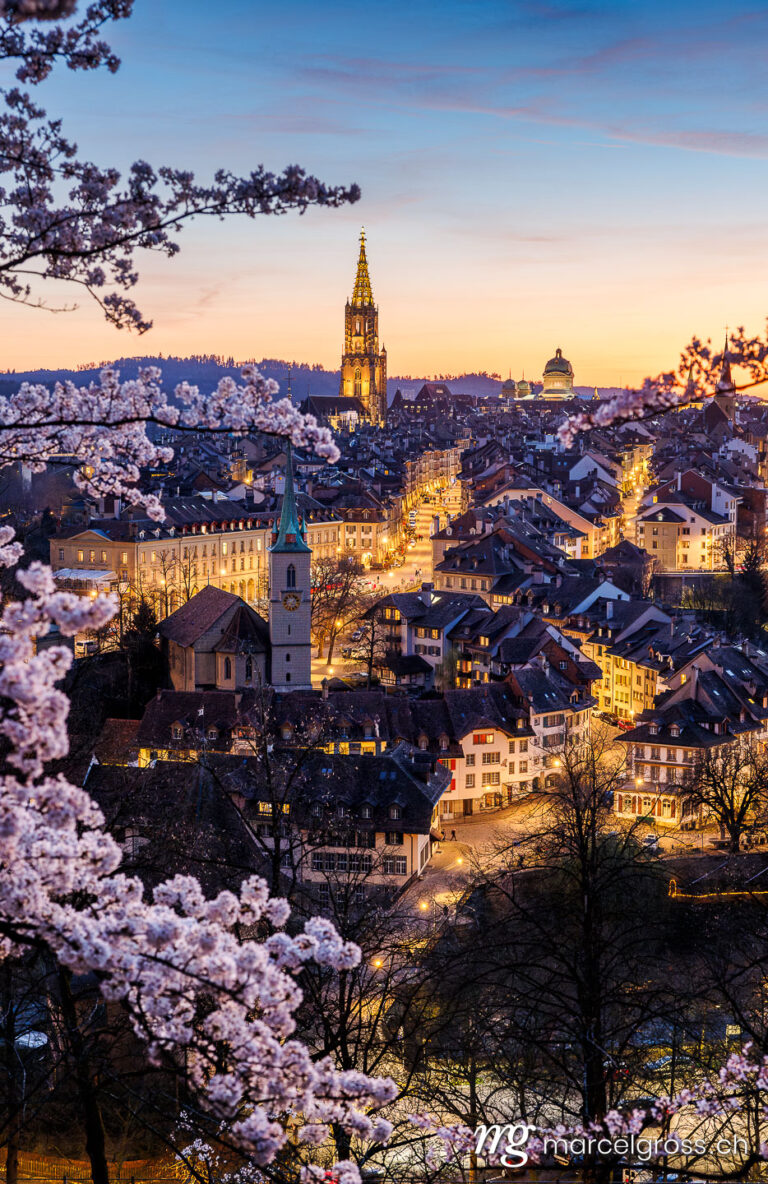 . Sonnenuntergang während Kirschblüte in Bern. Marcel Gross Photography